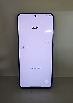 갤럭시 S21 공기기