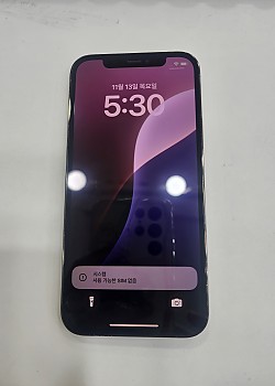 아이폰12프로-10404