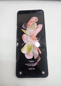 갤럭시플립4-4259