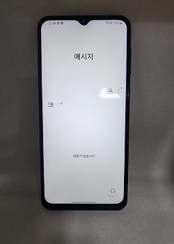 갤럭시 버디2 공기기