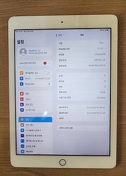 아이패드6세대(2018) 와이파이(A1893)