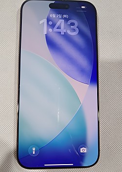 아이폰16 프로 맥스 256G