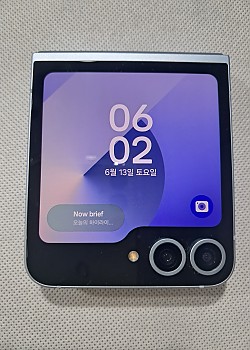 갤럭시Z 플립6 256G