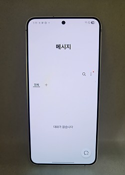 갤럭시S24 256기가 공기기