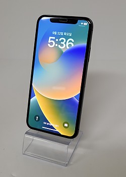 아이폰X - 3451