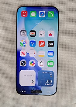 아이폰16 프로 맥스 512G